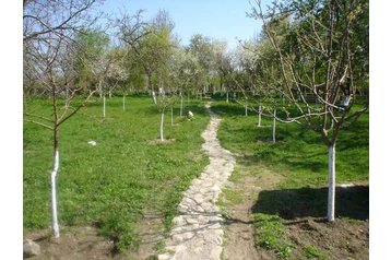 Rumeenia Privát Sâmbăta de Sus, Eksterjöör
